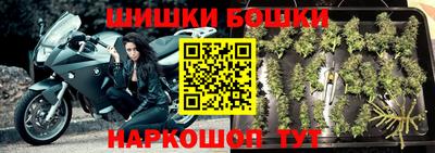 бошки Бийск