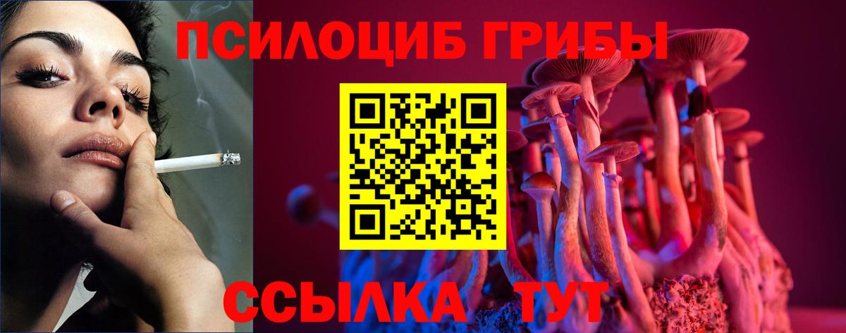 Псилоцибиновые грибы GOLDEN TEACHER Всеволожск